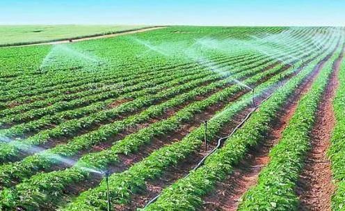 鸡巴草逼农田高 效节水灌溉